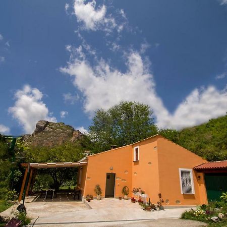 B&B Casa Vacanze Benvenuti Al Sud Aiello Calabro Exterior foto